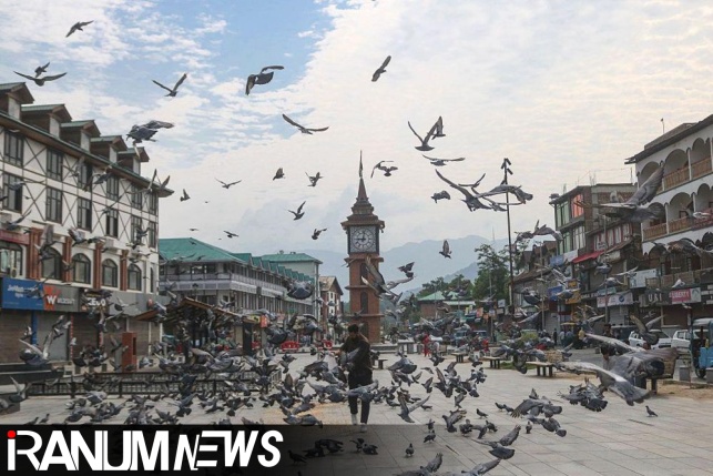 Health v heritage: Pigeon feeding ban sparks debate in India